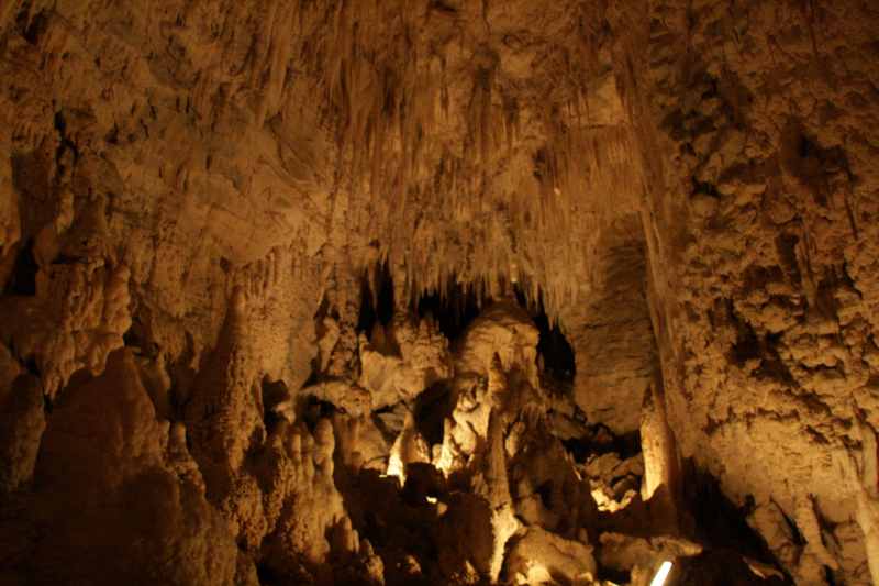 Nieuw-Zeeland 2011 - 0552